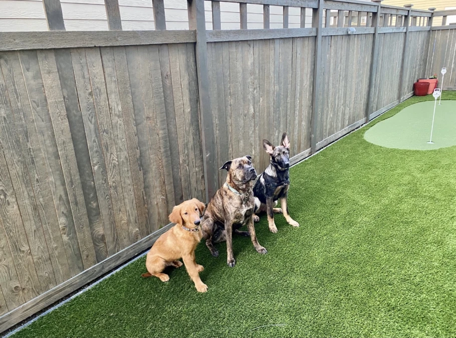 97E7E875-C1A6-4D14-8A1E-1CB8C4F9746A_1_201_a