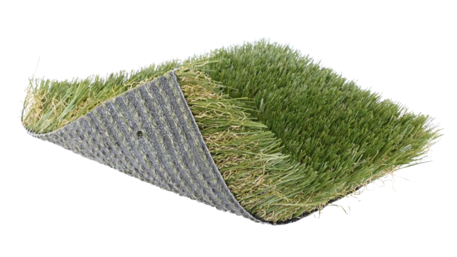 PL951-curled-1140x641 (1)