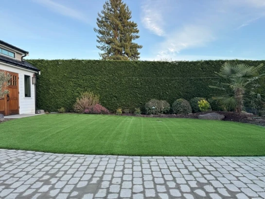 48BEADD7-5F7B-4FE5-A6CD-A7913FFBC247_1_105_c