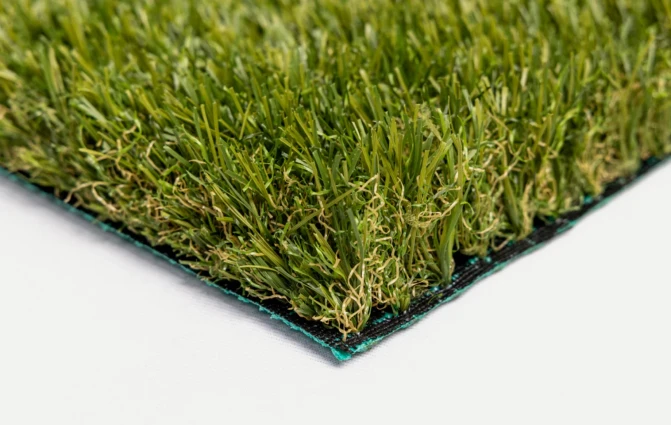 e6daadd9-5069-48a0-8c8a-ec4f7b64b07a